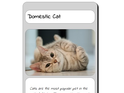 Animal trading card preview image